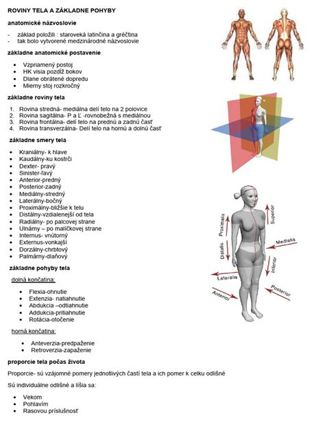 Anatomické znázornenie ženského reprodukčného systému