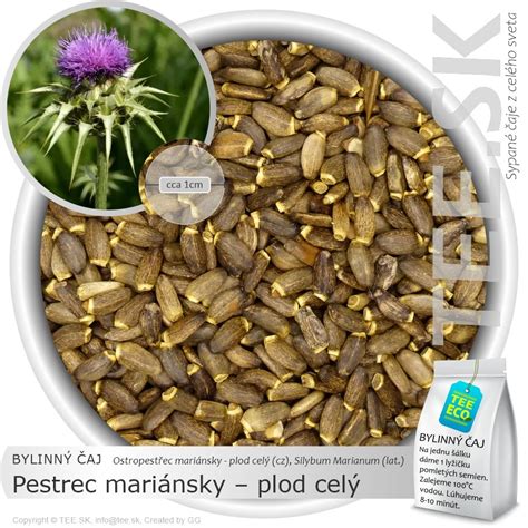 štruktúra rastliny pestrec mariánsky