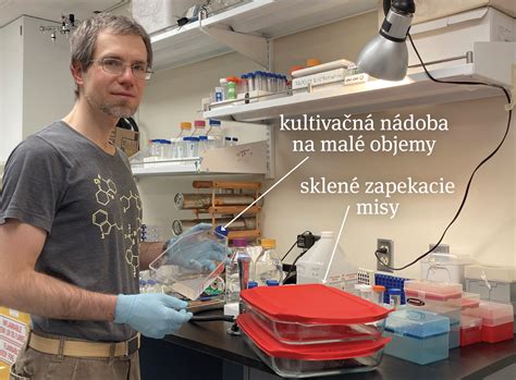 Ilustračná fotografia doktorandov pri práci v laboratóriu