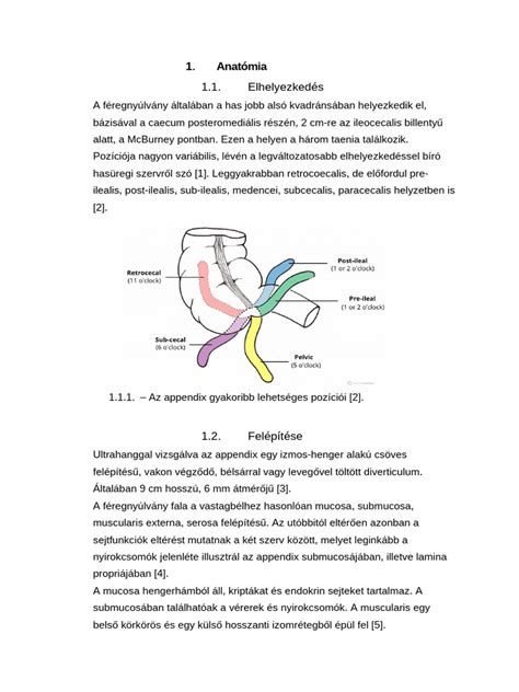 Anatómia fyziologického cumlíka