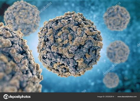 Ilustrácia vírusu Parvovírus B19