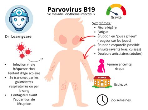 Schéma prenosu parvovírusu B19 z matky na plod