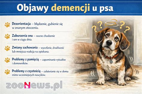 Infografika s krokmi tréningu psa na toaletu