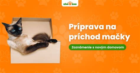 príprava mačky na príchod bábätka