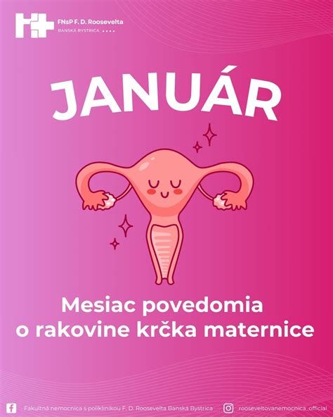 Anatomické zobrazenie maternice s jej orientáciou