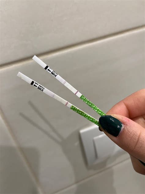Obrázok ovulačného testu s pozitívnym a negatívnym výsledkom.