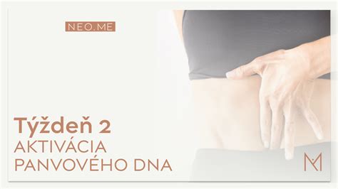 Ilustrácia ženského panvového dna a reprodukčných orgánov
