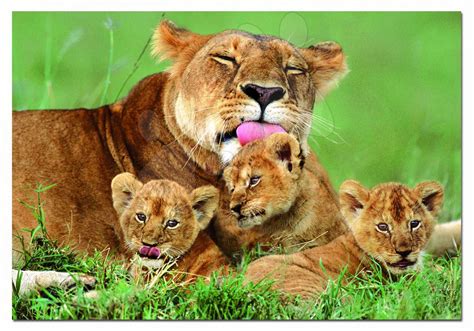 Levica s hrivou a dieťaťom