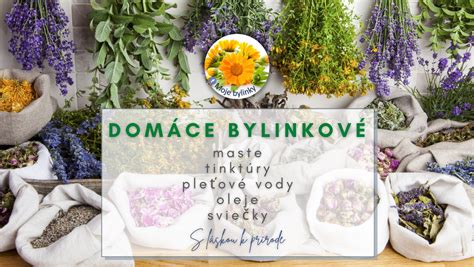 Ilustrácia znázorňujúca rôzne bylinky a ich použitie v ľudovom liečiteľstve