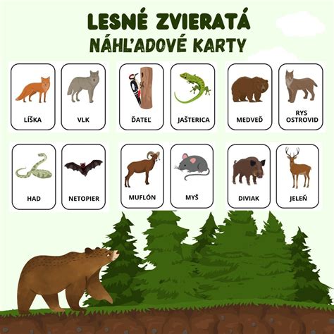 Ilustrácia lesných zvierat na detskom oblečení