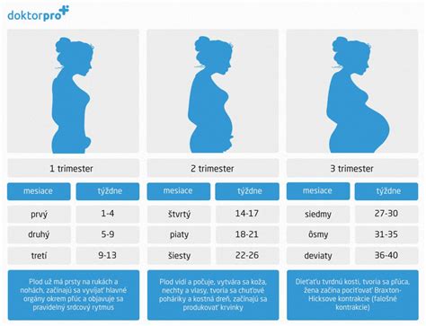 infografika s bežnými symptómami tehotenstva v prvom trimestri