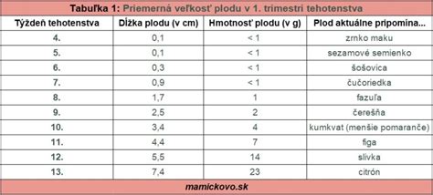 ilustrácia rastu plodu v maternici počas prvého trimestra
