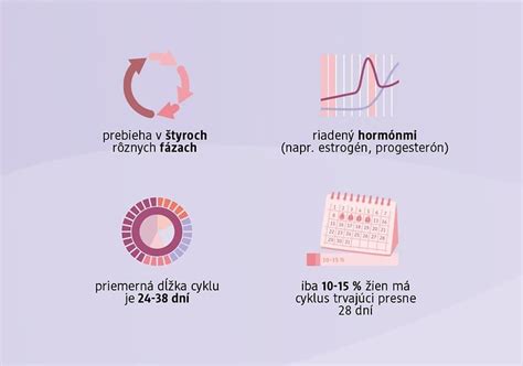 Štruktúra pôrodu feny: Fázy a ich trvanie