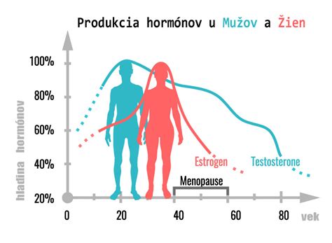 schéma produkcie estrogénu v tele ženy