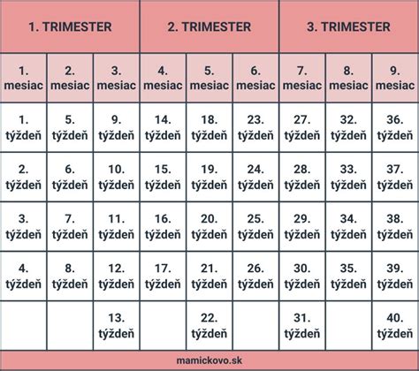 Grafické znázornenie troch trimestrov tehotenstva