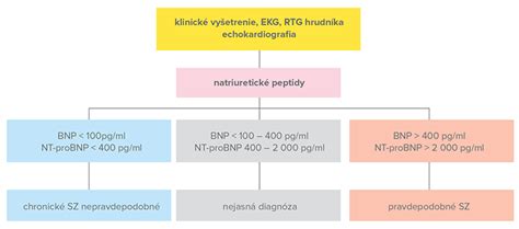schéma srdcového zlyhania