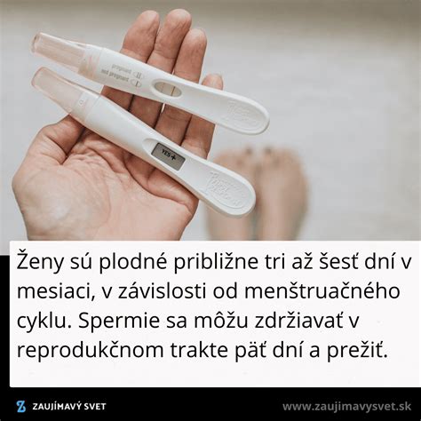 Infografika o ženskom reprodukčnom cykle