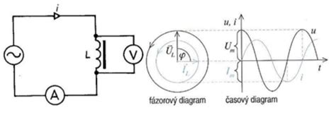Grafické znázornenie rozdielu medzi plazením a štvornožkovaním