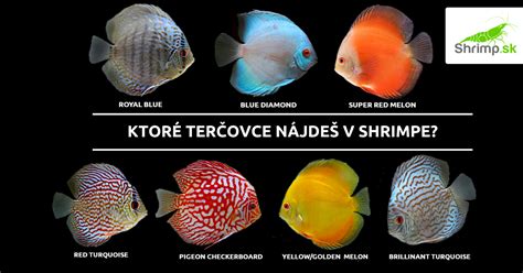 Schematické znázornenie vonkajšieho oplodnenia u rýb