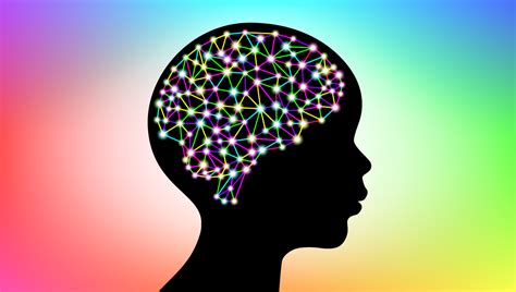 schéma vývoja mozgu dieťaťa