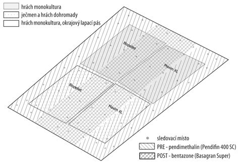 Schéma vzťahu rodič-dieťa založeného na rešpekte