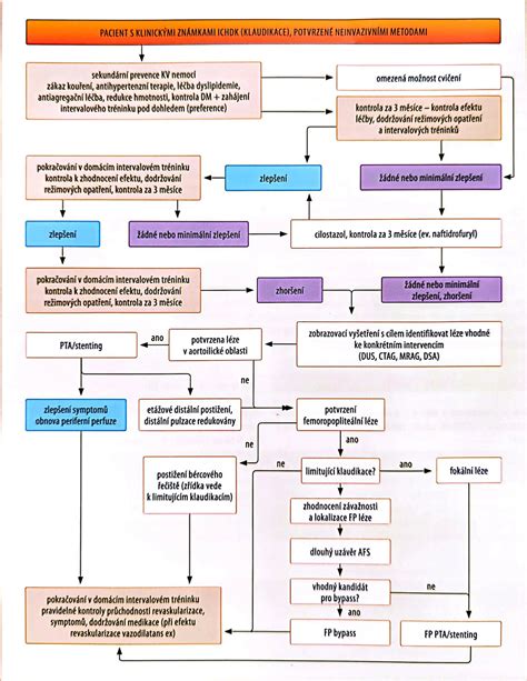 Ilustrácia priebehu chirurgickej interrupcie