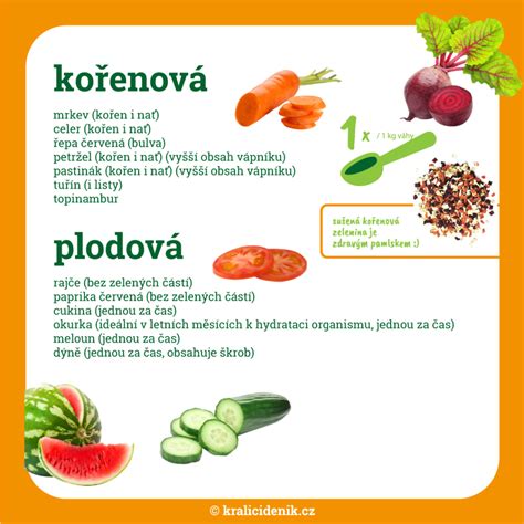 Zelenina vhodná na prvé príkrmy