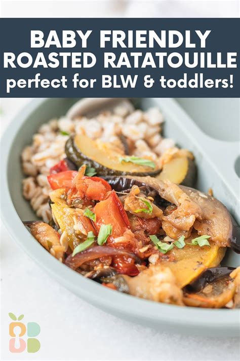 Baby friendly ratatouille