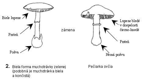 Rozdiel medzi zrazenou hlavičkou a kraniostenózou