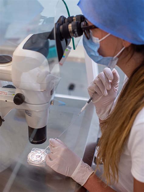 embryotransfer