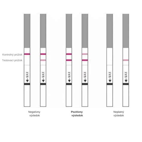 Infografika správneho použitia ovulačného testu