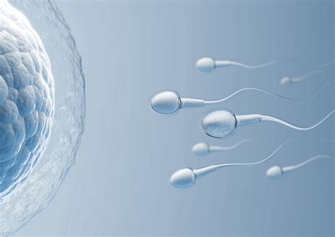 Genetické anomálie ako príčina potratu