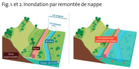 schéma embryotransferu