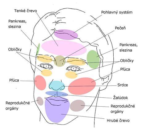 mapa tváre s vyznačenými zónami a možnými príčinami vyrážok