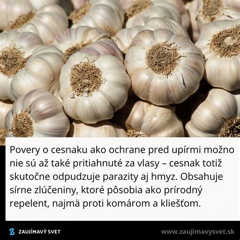Cesnak a tekvicové semienka ako prírodné prostriedky proti parazitom