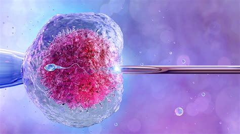 Vizualizácia kultivácie embrya v laboratóriu IVF