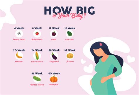 infografika s porovnaním veľkosti plodu s ovocím a zeleninou v jednotlivých týždňoch tehotenstva