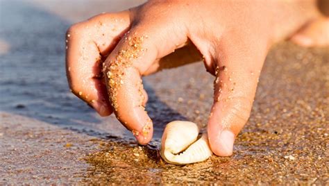 Detská ruka hrajúca na akordeón