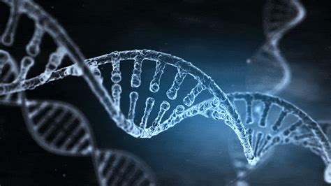 Ilustrácia ľudskej DNA