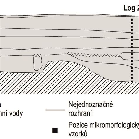 schematické znázornenie ženského reprodukčného systému s vyznačenými orgánmi