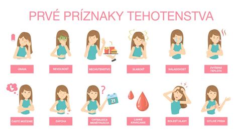infografika porovnávajúca príznaky ovulácie a tehotenstva