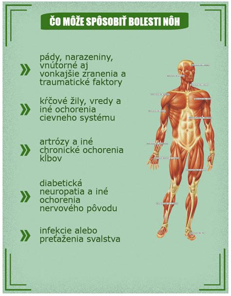 schematické znázornenie príčin bolesti nôh
