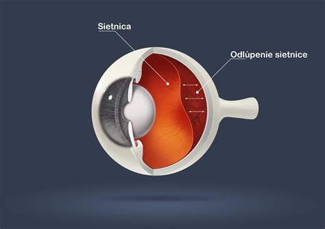 Anatomické zobrazenie konečníka