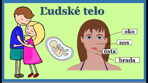 symbolické znázornenie šestonedelia