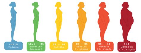 Infografika znázorňujúca rozdiely v metabolizme
