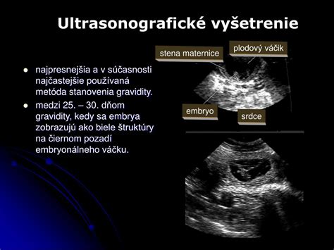 Ultrazvukové vyšetrenie gravidity suky