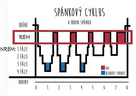 Schéma spánkových fáz s vyznačeným NREM