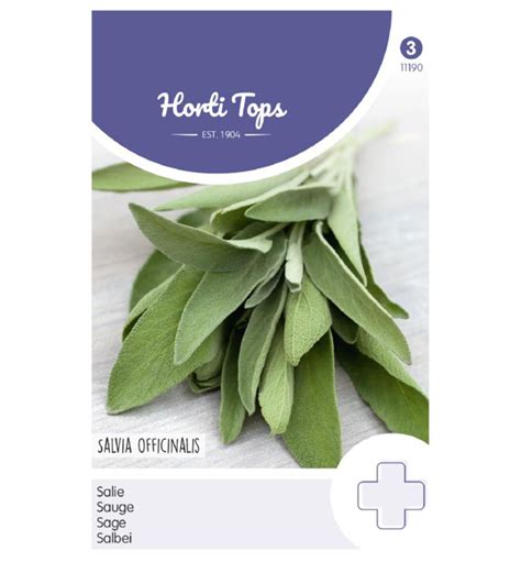 Obrázok šalvie lekárskej