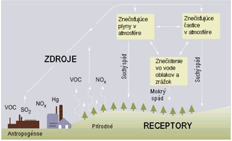 Schéma ukazujúca príčiny a dôsledky elektívneho mutizmu