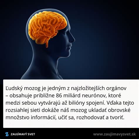 Ilustrácia mozgu a tela spojených sieťami neurónov